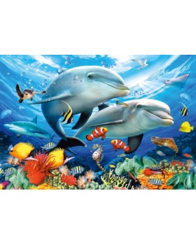Пазл "Дельфины", 1500 деталей, Castorland