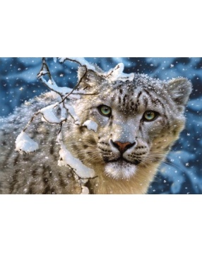 Пазл "Снежный леопард", 1500 деталей, Castorland