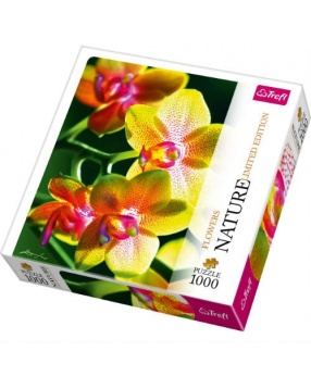 Пазл  "Орхидея", 1000 деталей, Trefl
