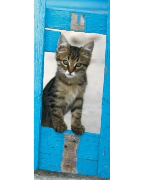 Вертикальный пазл "Любопытный котенок", 170 деталей, Ravensburger