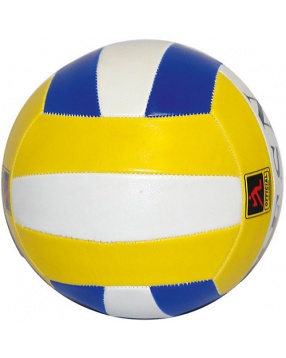 Мяч волейбольный,  Ecos