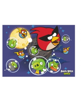 Папка для тетрадей  картонная на резинках А4  Angry Birds